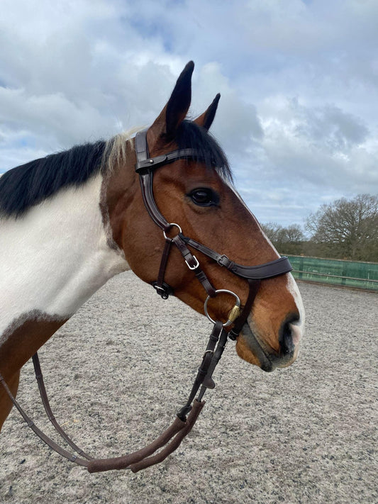 Frontier Noseband ONLY