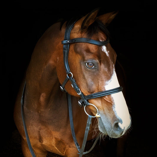 The Welfare Bridle